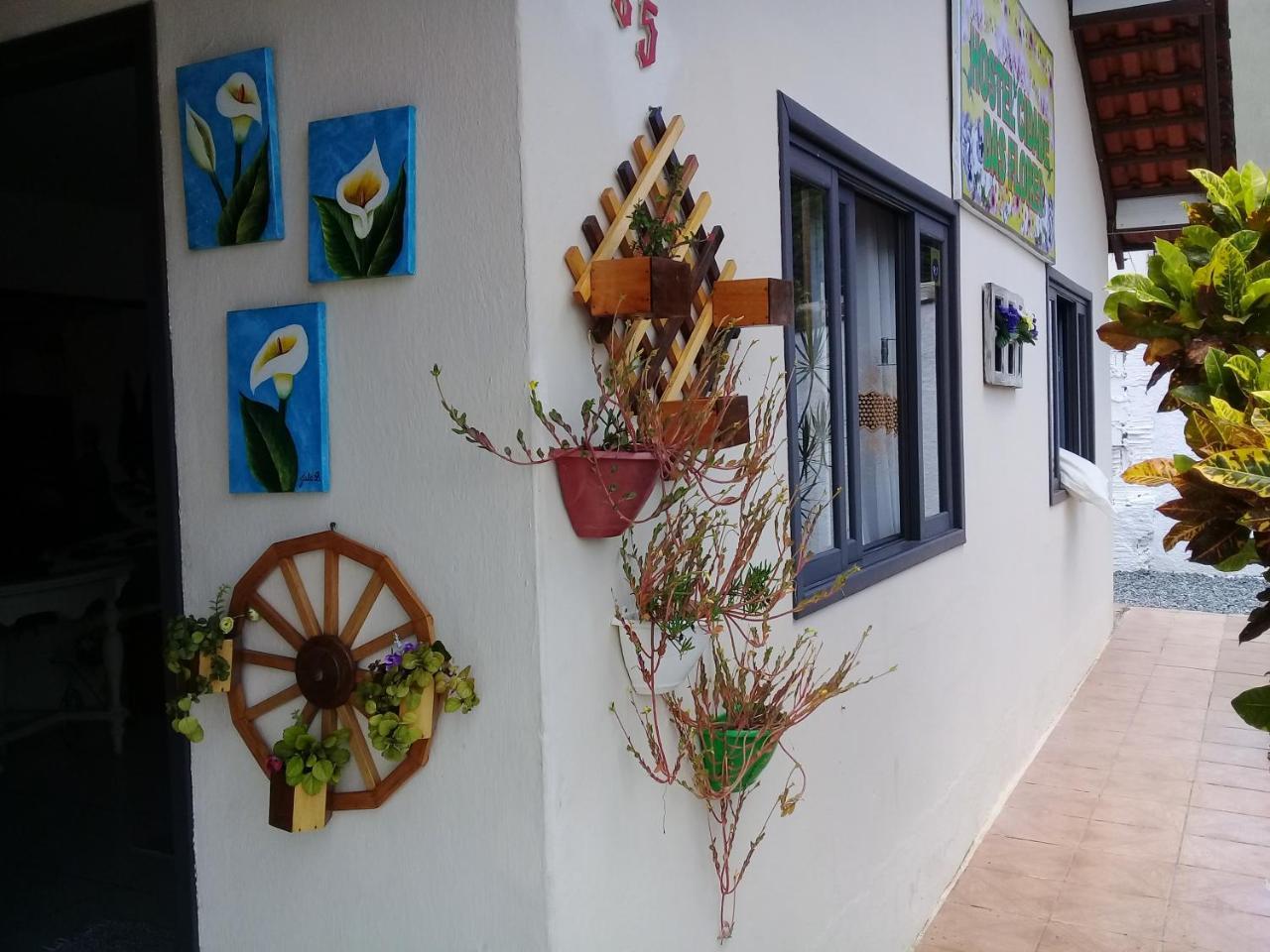 Flores 2 Joinville