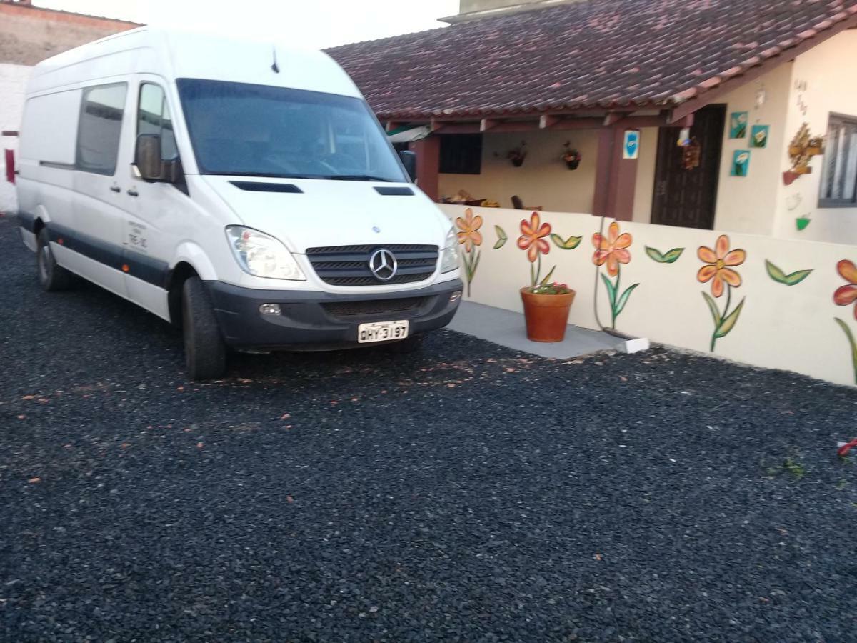 Flores 2 Joinville